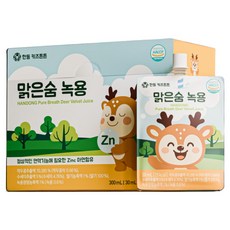 한동키즈튼튼 맑은숨 녹용, 10개, 30ml