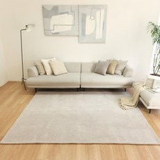 리빙플래너 국민러그 사계절 워셔블 거실 러그 카페트