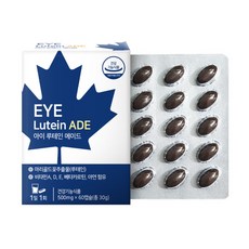 홈쇼핑방영/임박특가)캐나다직수입 아이(EYE)루테인 에이드 500mg 60캡슐 02개월분(1박스)/마리골드꽃추출물/베타카로틴/식약처인정10중복합기능성/아연/26.08.30일까지, 60정, 1개