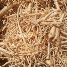 대용량 인삼뿌리 1kg 미삼 세척인삼 잔뿌리인삼 1kg, 1개