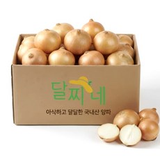 [타임특가] 달찌네 국내산 특품 햇 양파, 1개, 3kg
