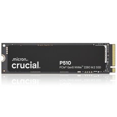 마이크론 Crucial P510 M.2 NVMe 아스크텍, CT2000P510SSD8, 2TB