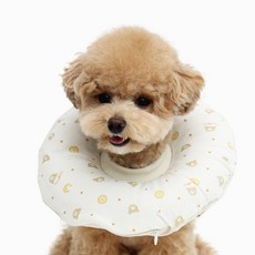 ITS DOG 狗狗居家護理頸圈, 120克, 1個