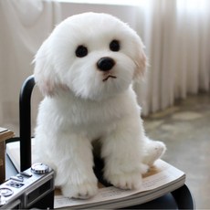 드림 진짜같은 리얼 동물인형, 096_위더펫 말티즈, 1개