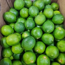 [재구매율1위] 상큼한 과즙 가득 생 라임, 1개, 상큼 라임 (중과) 20과