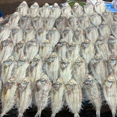 포항 죽도시장 말린 가자미 건조가자미 마른가자미 (바짝 말린 미주구리), 반 판(500g 내외), 1개