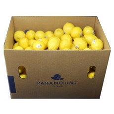 정품 팬시 레몬 3kg / 4kg /5kg 레몬청 레몬에이드 장식용 레몬 썬키스트, 5kg, 1개