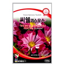 남흥원예사 씨쉘코스모스 100립 원예 관상 조경 화단 용 꽃 씨 씨앗 종자 세계종묘, 1개