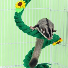 슈가글라이더 그린 포레스트 해바라기 횃대 피그미다람쥐 바인, 1개