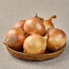 책임보상제 단단한 국내산 햇 양파, 5kg / 대과, 1개
