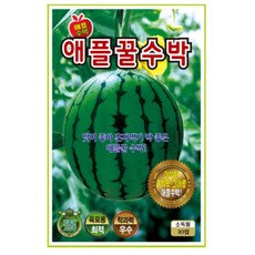 애플 꿀 수박 씨앗 고당도 소형 미니수박 혼자먹기 좋은 육묘용 수박 10립 ks