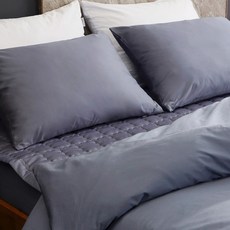 특급호텔침구 구스페더100%베개1200g+베개커버, 페더베개솜+베개커버 솔리드 딥블루, 1세트