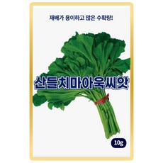 산들 치마 아욱씨앗 10g 수확량 많고 약재 활용 아욱씨 종자, 1개