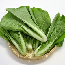 국내산 울팜 얼갈이 배추, 1개, 4kg