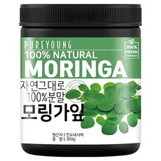 퓨어영 모링가 분말 300g, 1개