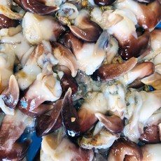 여수 새조개 당일조업 당일손질 산지직송, 1개, 500g