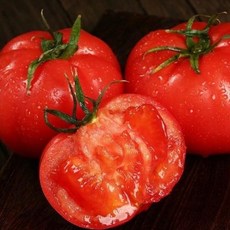 [전략단가할인]환상적품질 조기품절주의 정품 산지시즌 완숙토마토, 1박스, 5kg