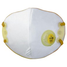 C650V(1급) 에버그린 크린탑여과식 보형물 방진마스크, 화이트, 10개