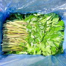야채삼촌 당귀 당귀잎 1KG 짱아찌용 쌈용 쌈채소, 1개