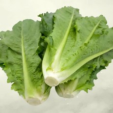 [허브온] 통로메인 / 16년간 전국 호텔 및 레스토랑 공급채소, 1kg, 1개