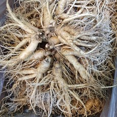 풍기인삼 6년근 난발삼 세척삼 750g, 1개