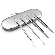 오픈스페이스 셀프 치석제거 세트 실버, 1세트