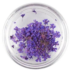 雙色蕾絲乾燥花美甲鮮花壓花, No 02 紫色, 2個