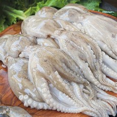 냉동 주꾸미 활쭈꾸미 샤브샤브 제철 볶음 해물탕 짬뽕, 1개, 1kg