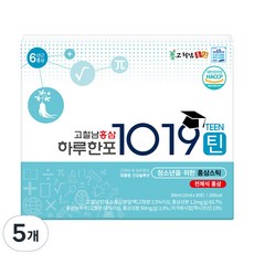Kocheolnam Hongsam 一日一包1019罐裝紅蔘條, 30份, 5個