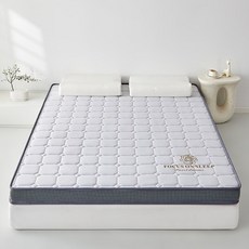 FOCUS ON SLEEP乳膠記憶棉床墊 無異味無甲醛 軟硬適中 學生專用 柔軟可折疊