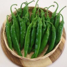 바르다야채 국내산 청양고추(특) 1kg (매운고추)(특품), 1개