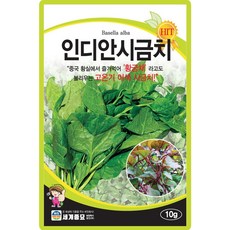 세계종묘 인디안시금치 씨앗 10g 황궁채 이색 시금치씨 종자, 4개