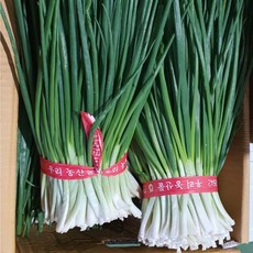 국내산 신선한 최상품 깐쪽파 김치용 1단(1kg내외) 2단(2kg내외) 알뜰농장, 1개, 1kg
