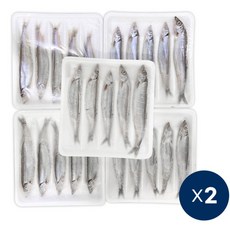 알배기 열빙어 알이 가득 고소한 시사모 시샤모 열빙어 25미 캠핑요리 캠핑구이, 2개, 550g