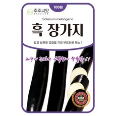 [주주씨앗] 가지씨앗 100립 흑 장가지 종자 씨 채소씨앗 제일장가지, 1개