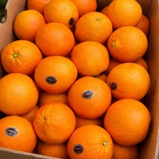 [비파괴 당도선별] 퓨어스펙 블랙라벨 오렌지, 1박스, 특대과 3kg (10과 내외)