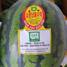 프리미엄 GAP인증 음성 양구 금왕 친환경 수박 소문난 꿀수박, 1개, 3kg 이상, 음성 생극 금왕 수박