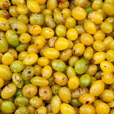 무농약 청정은행 국산 햇 깐 토종 국산 생은행 중 대 특대, 1개, 깐은행 1kg(중)