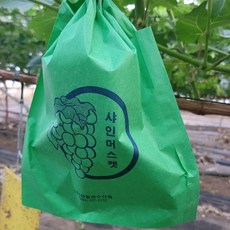 핀부착 과수봉지 샤인머스켓 청포도 씌우기, 200개