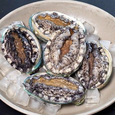 바다in연 프리미엄 활전복 1kg 완도산 산소포장, 1개, 1kg 3호 (왕소) 18-20미