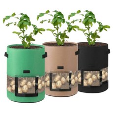 감자 블루베리 부직포 감자 화분 농작물 키우기 360도 관찰 투명화분, 베이지, 1개