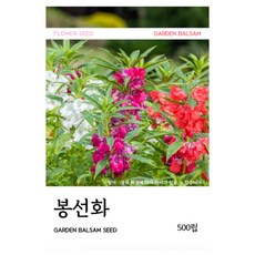 봉선화 씨앗 500립, 3개