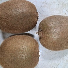 나영이네농장 그린키위 총판, 1박스, 5kg 특 38개내외