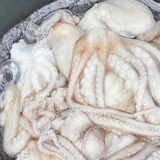 냉동낙지 활낙지 통낙지 10마리 볶음 연포탕, 1개, 850g