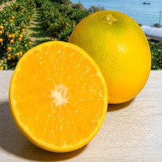 [첫 수확] 제주 황금향 산지직송 프리미엄 감귤, 1개, 혼합과 2kg