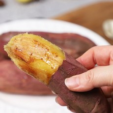 [농협청과33번] 25년 햇 꿀고구마 5kg 긴특긴상 (세척), 1개