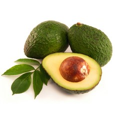 [달콤파크] 영양만점 프리미엄 아보카도, 5개, 1.1kg