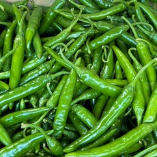 < 바른농산 > 국내산 햇 청양고추 매운고추 땡초 특품 (1kg 2kg 3kg 5kg 10kg), 1개, 특 2kg