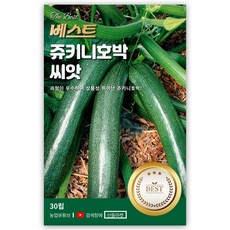 베스트 쥬키니 호박 씨앗 30립 수량성 좋고 상품성 뛰어난 호박씨 종자, 1개
