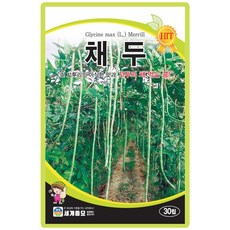세계종묘 채두 씨앗 30립 조생종 채두 콩씨 종자, 2개